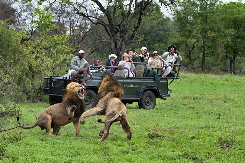 SPECTACULAR SOUTH AFRICA