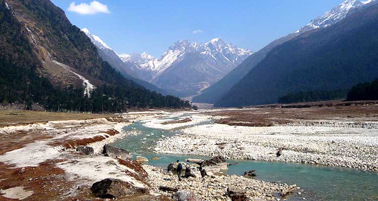 Excursion To Yumthang Tour